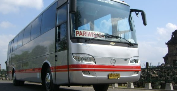 Harga Bus White Horse Terbaru 2023